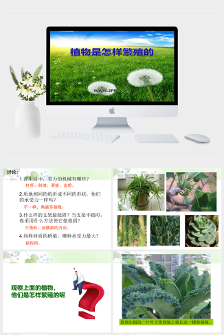 人教版科学六上《植物是怎样繁殖的》课件2