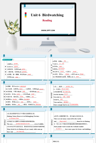 Unit 6  Birdwatching Period 2(1)-英语课件