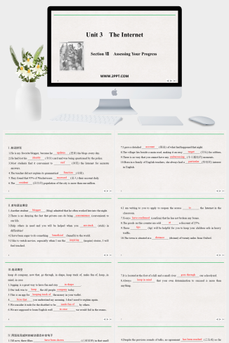 Section Ⅷ Assessing Your Progress(3)-英语课件