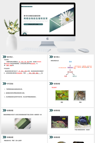 人教版八年级下册生物《两栖动物的生殖和发育》课件PPT模板