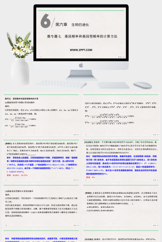 人教版高中生物必修二《微专题七 基因频率和基因型频