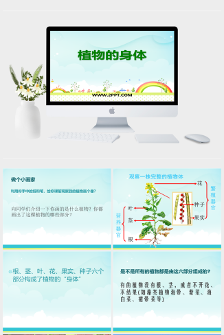 人教版科学三年级下册《植物的身体》ppt课件(1)