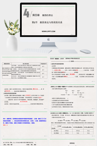 人教版高中生物必修二《第2节 基因表达与性状的关系》课件PPT模板