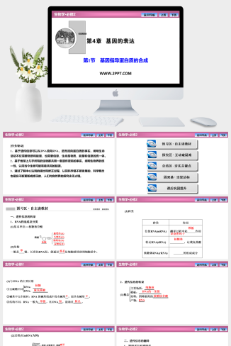 人教版高中生物必修二《第4章  第1节　基因指导蛋白质