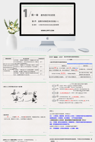 人教版高中生物必修二《第1课时 一对相对性状的杂交实验过程和解释》课件PPT模板