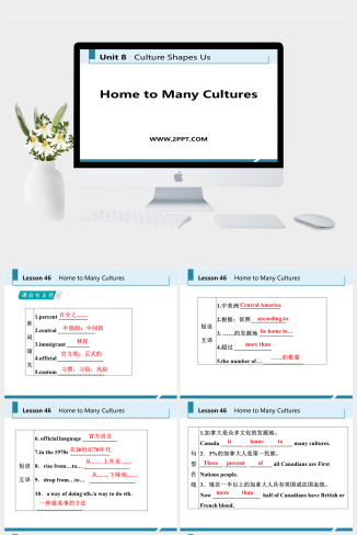 lesson46-英语课件