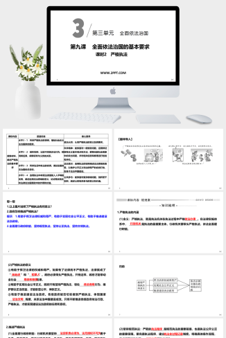 人教版高中政治必修三《课时2 严格执法》课件PPT模板