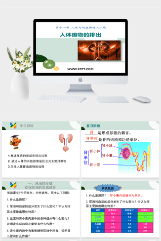 苏教版七年级下册生物《1人体废物的排出》课件PPT模板