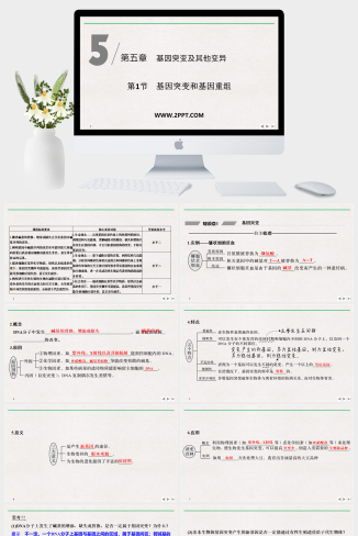 人教版高中生物必修二《第1节 基因突变和基因重组》课件PPT模板
