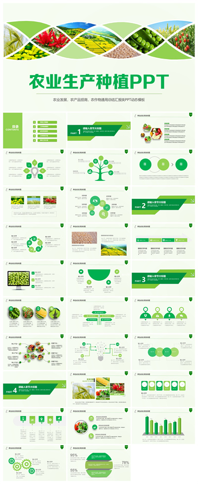 环保绿色食品农作物丰收新农村建设农产品推广PPT模板