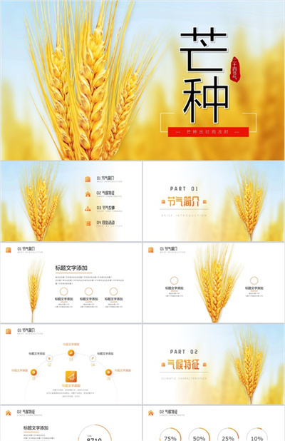关于中国二十四节气之芒种节日的介绍PPT模板下载