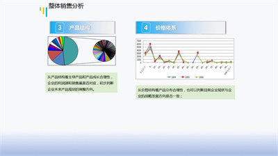 大气简约产品整体销售分析PPT模板