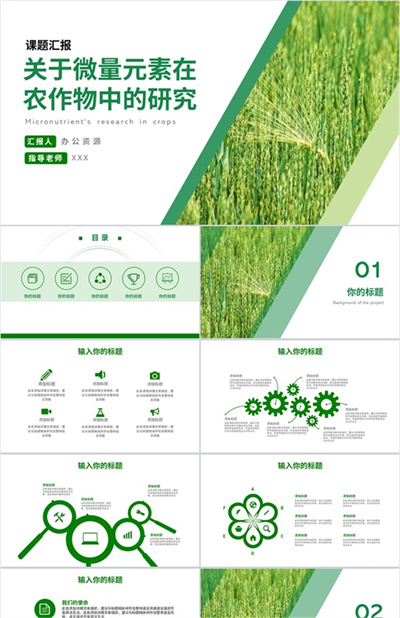 关于微量元素在农作物中的研究论文答辩PPT模板