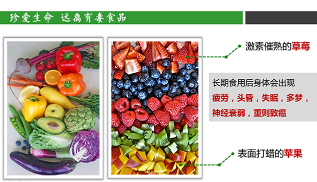 食品健康安全教育公益ppt模板