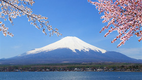 富士山樱花幻灯片背景图片