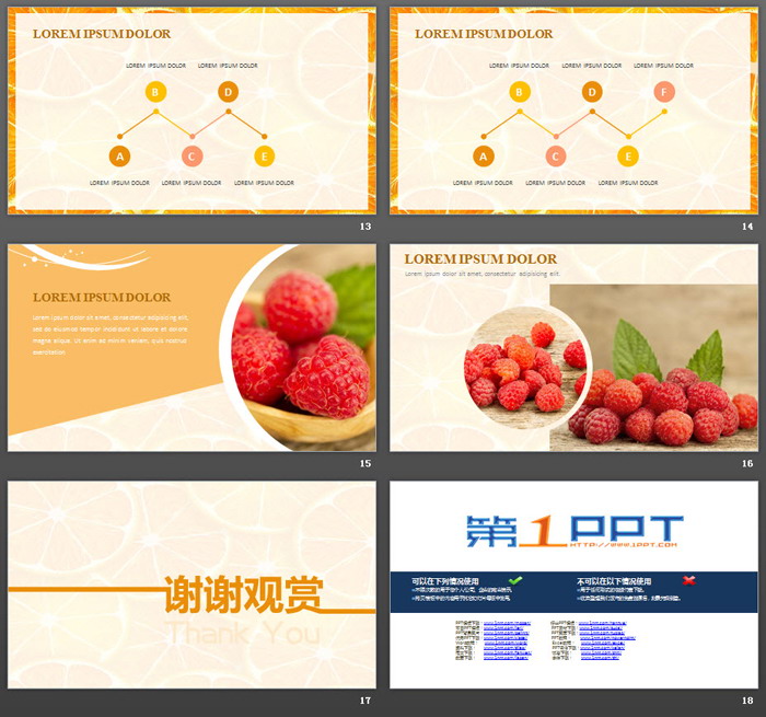 橙子切片背景的水果主题PPT模板